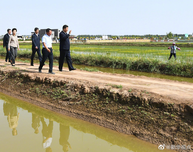 习近平在银川考察调研02.jpg