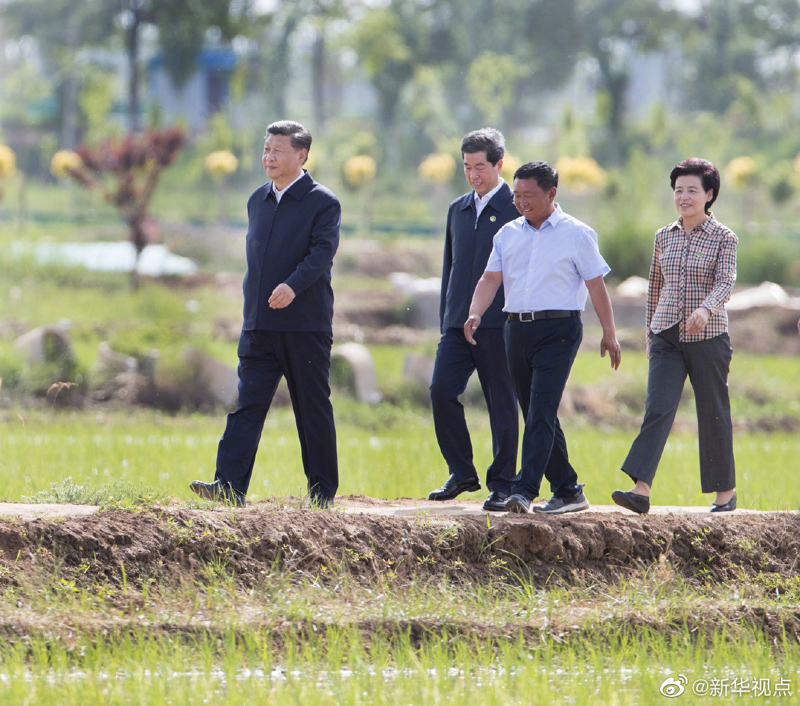 习近平在银川考察调研03.jpg