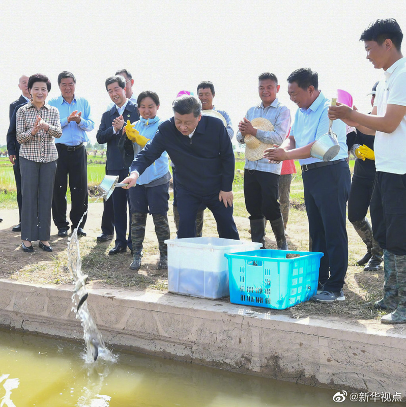 习近平在银川考察调研05.jpg