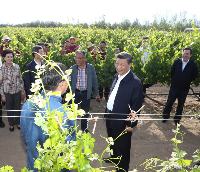 习近平在银川考察调研08.jpg