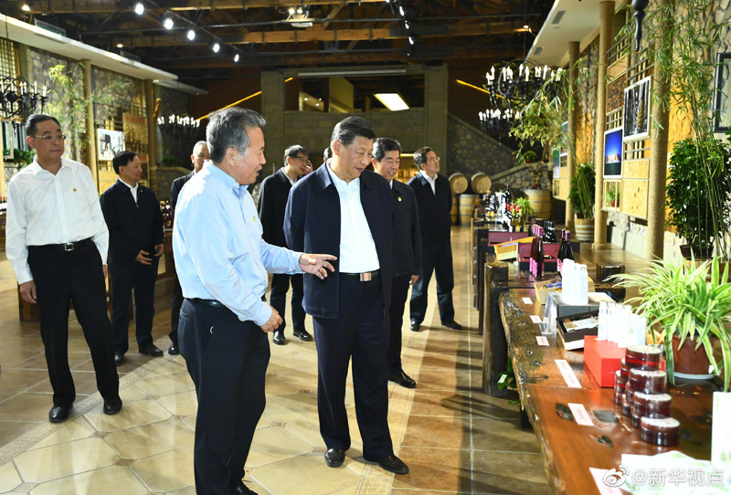 习近平在银川考察调研09.jpg